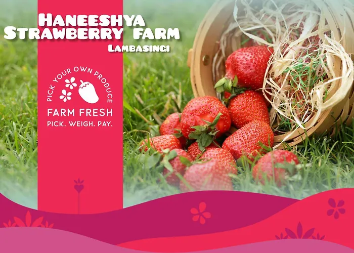 Haneeshya Resort & Strawberry Farm